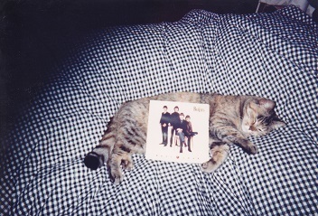 maru0044.jpg